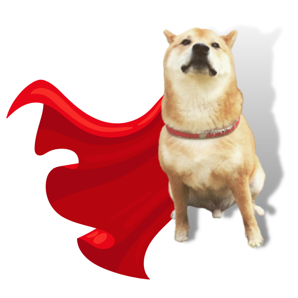 shiba inu superhero